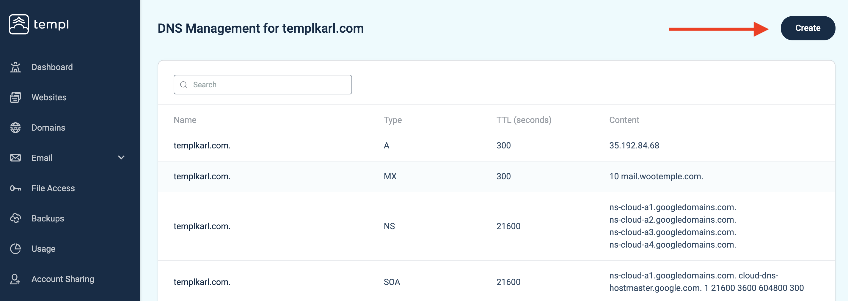 Templ Panel Create button in DNS management