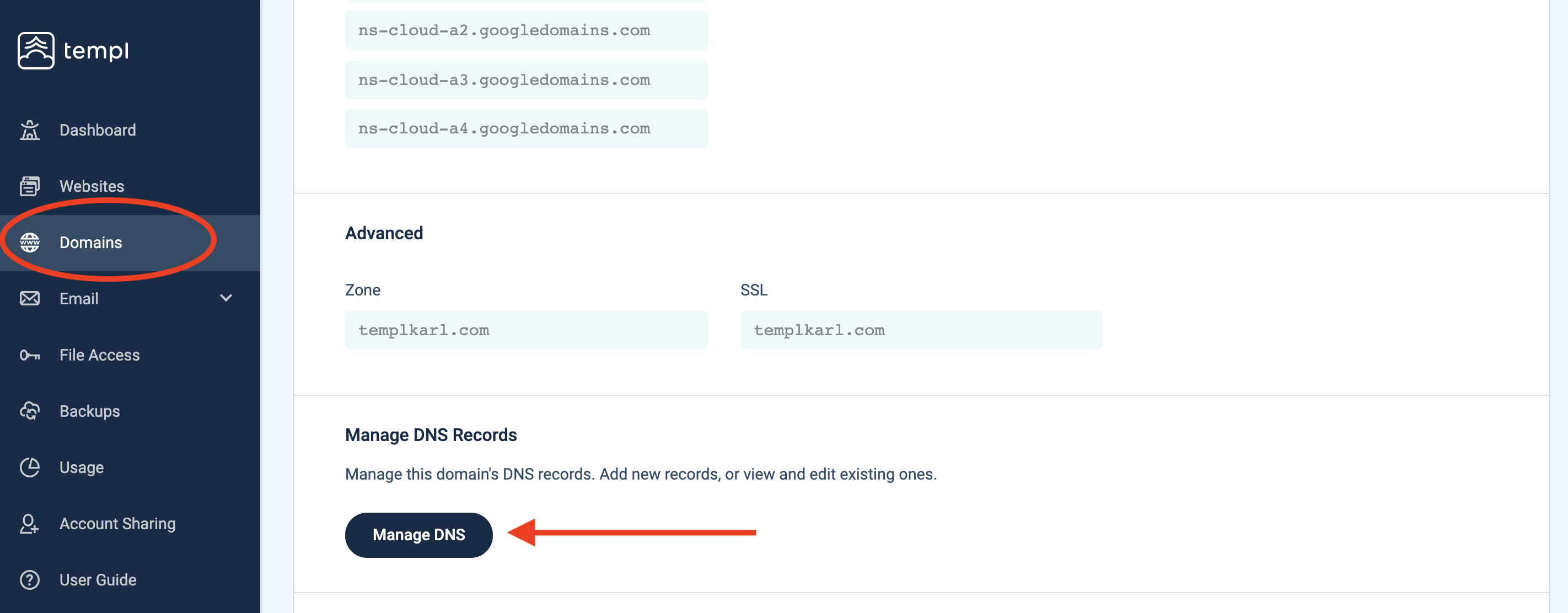 Templ Panel Manage DNS button on the domain page
