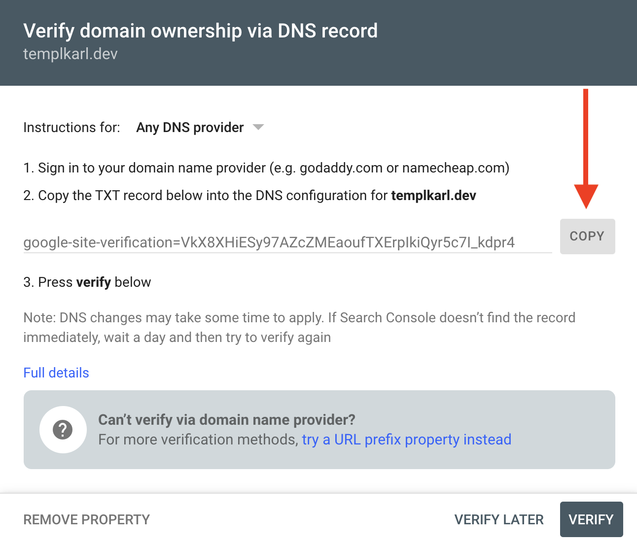 Google Search Console DNS verification code
