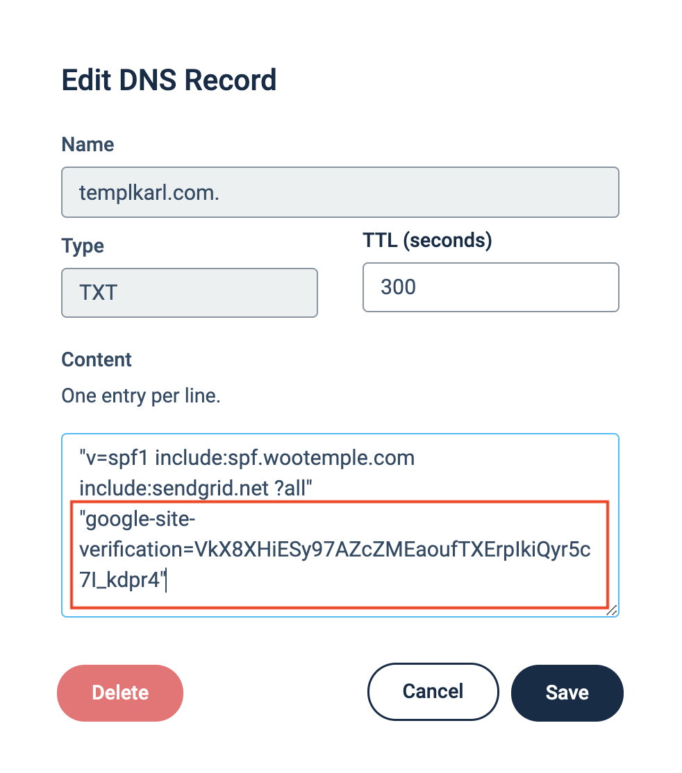 Templ Panel TXT record editor with Google verification code on a new line