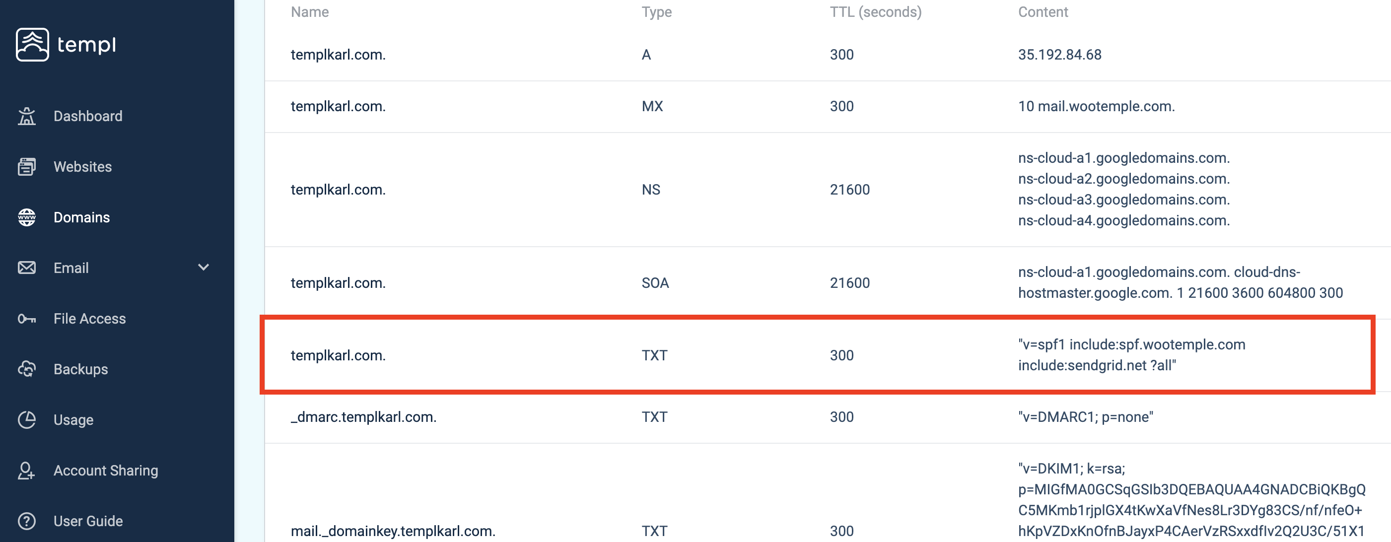 Templ Panel DNS management showing the existing TXT record