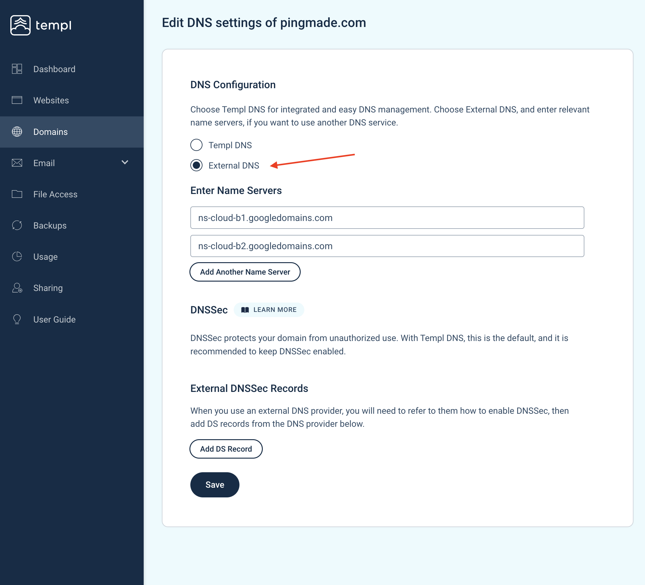 Templ Panel External DNS fields for entering new name servers