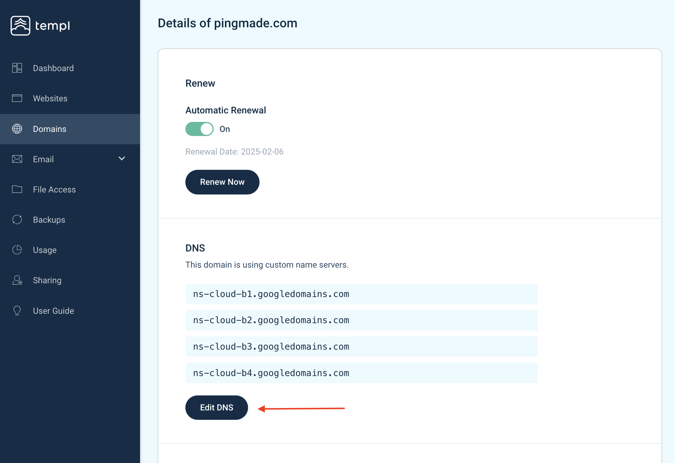 Templ Panel domain details page with Edit DNS button
