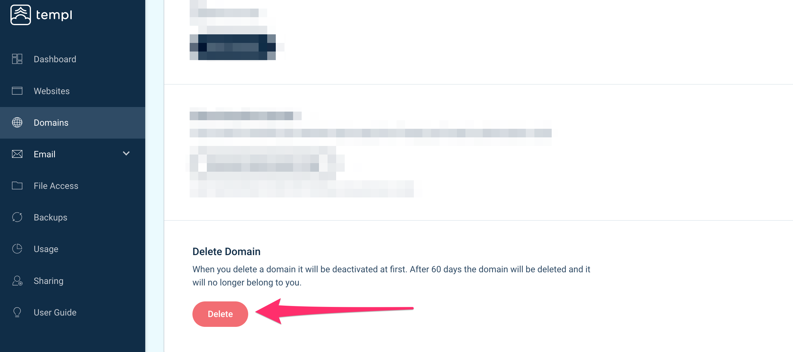 Templ Panel domain deletion confirmation