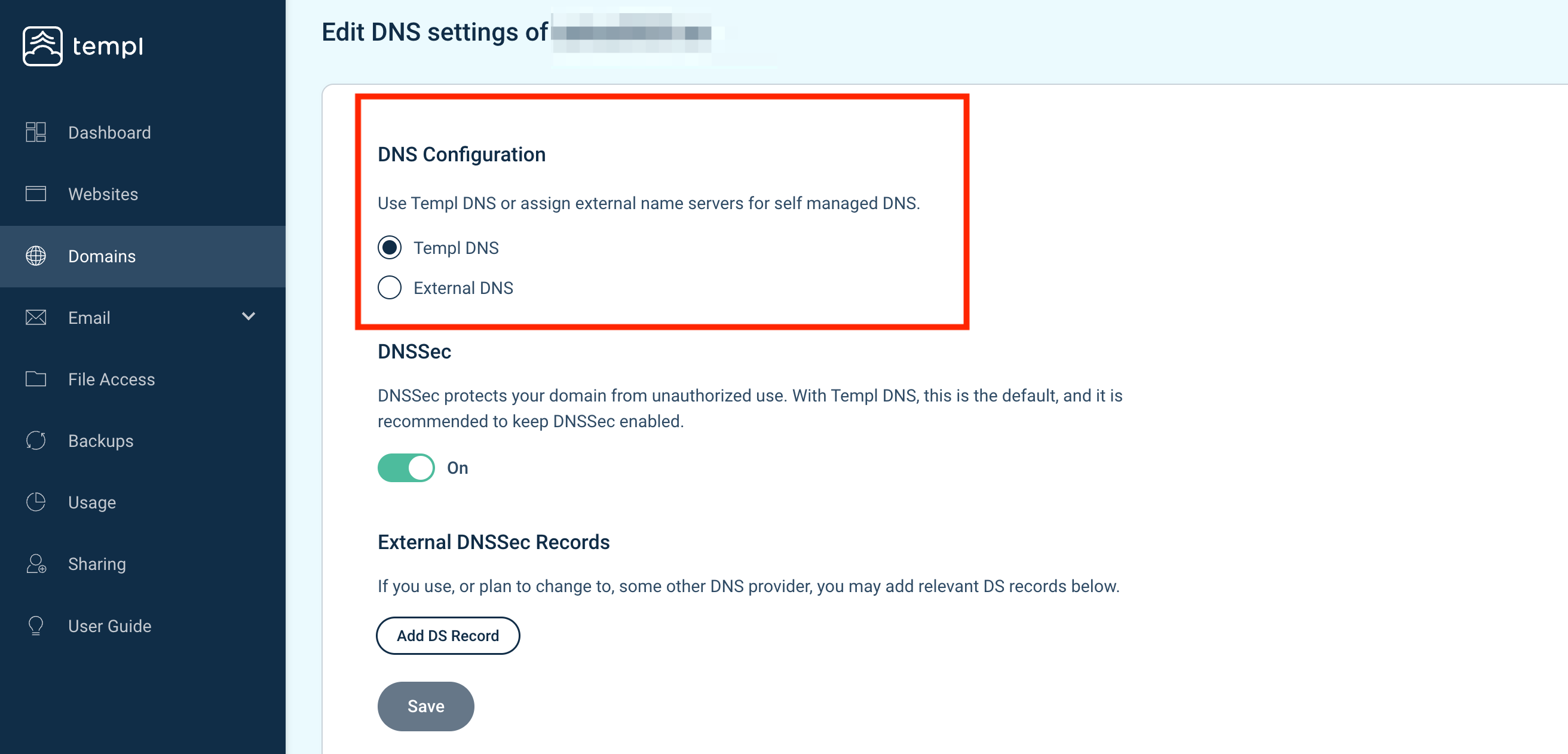 Templ Panel Edit DNS page for managing name servers