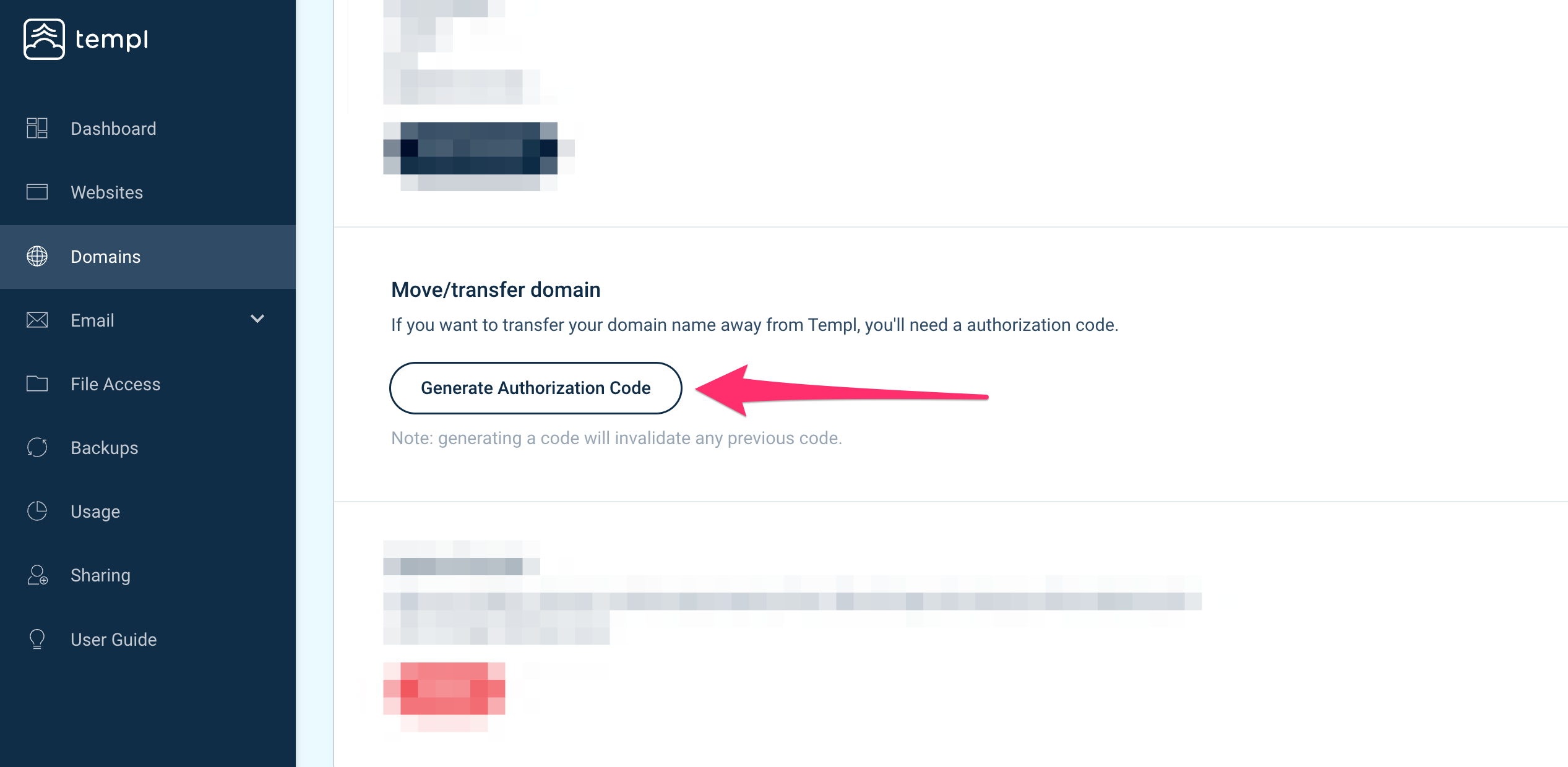Templ Panel Generate Authorization Code button
