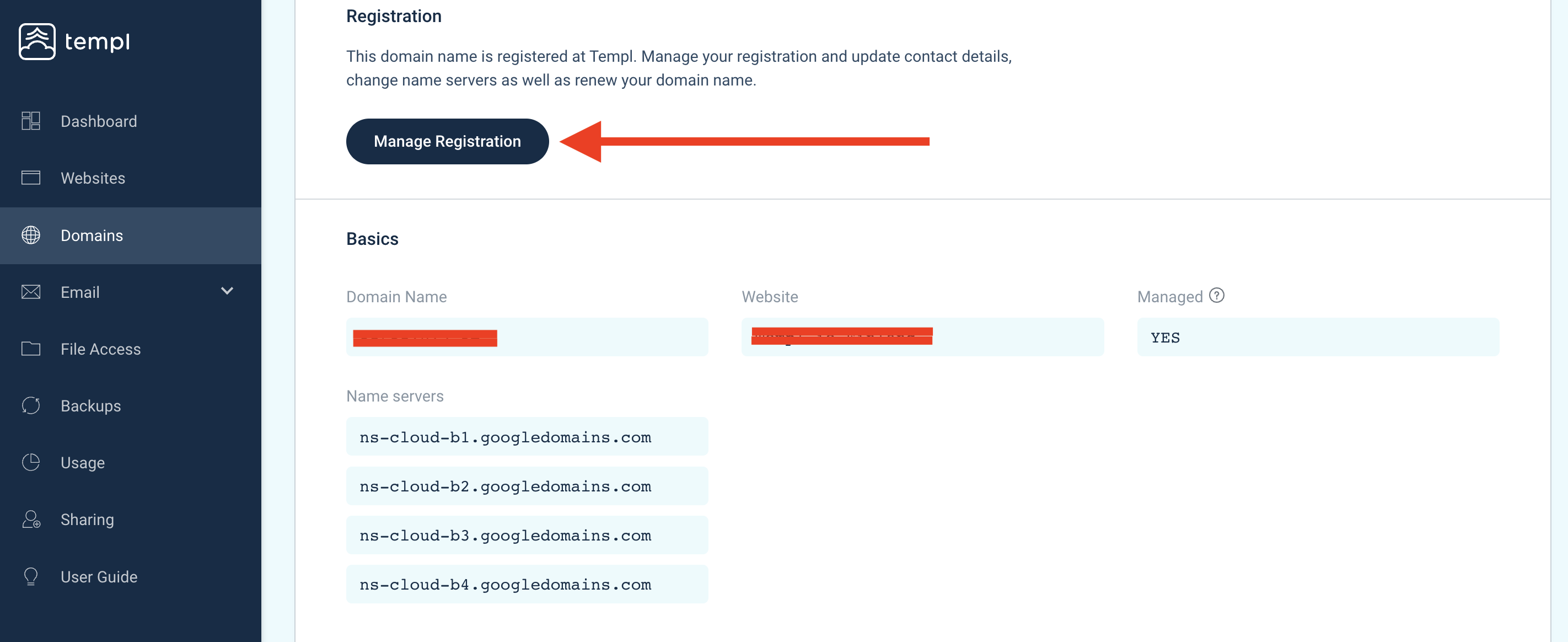 Templ Panel domain page with Manage Registration button