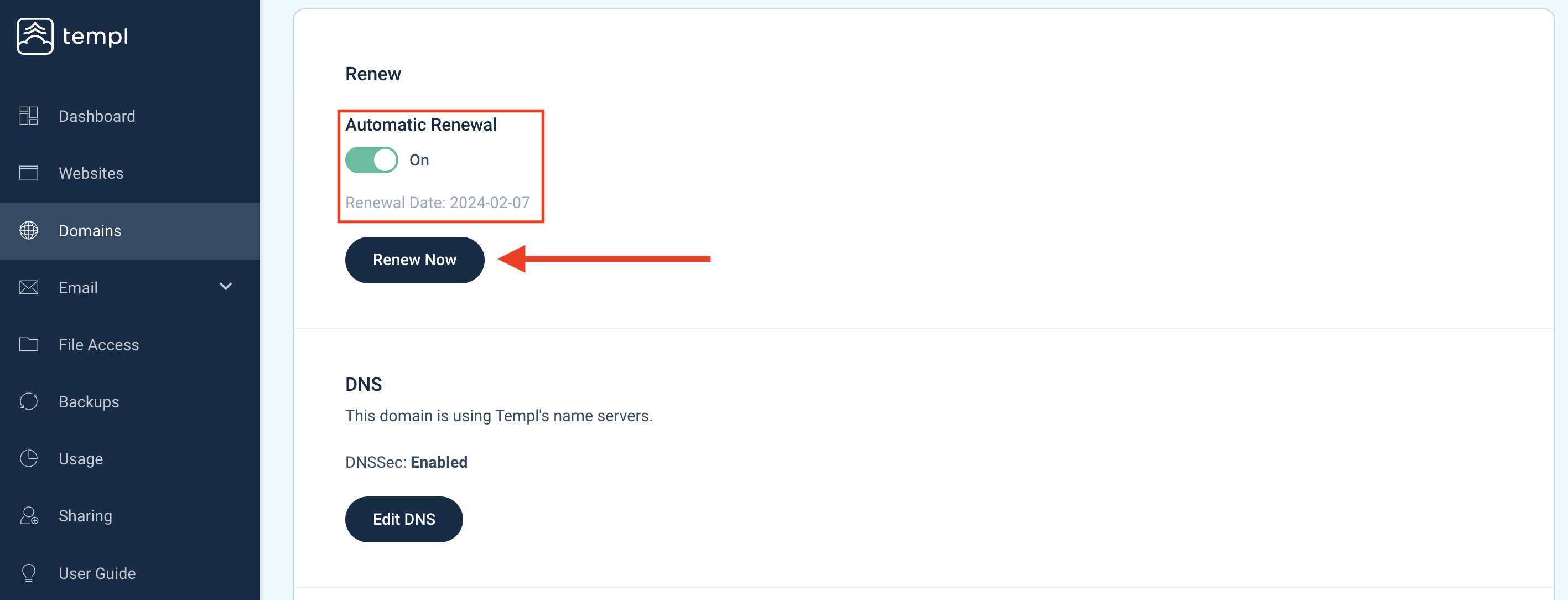 Templ Panel domain renewal settings with automatic renewal toggle