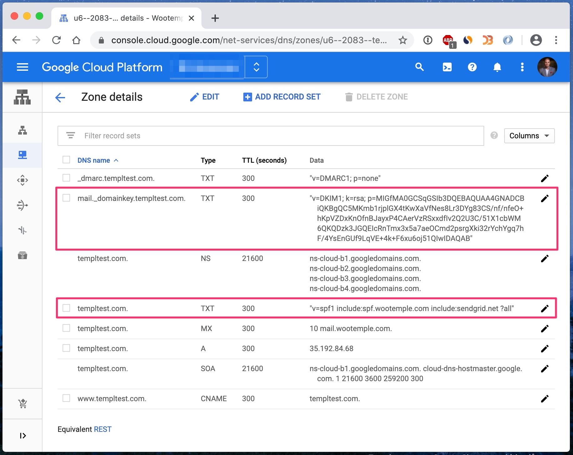 DNS settings showing SPF and DKIM TXT records configured