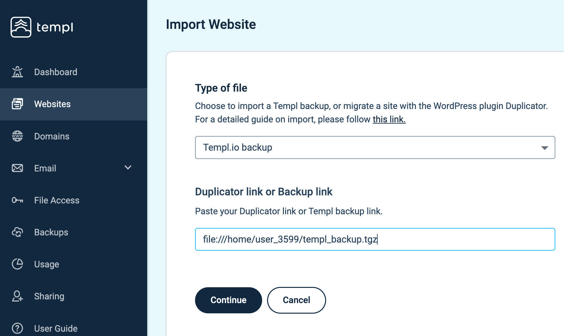 Templ Panel import screen with a local file path