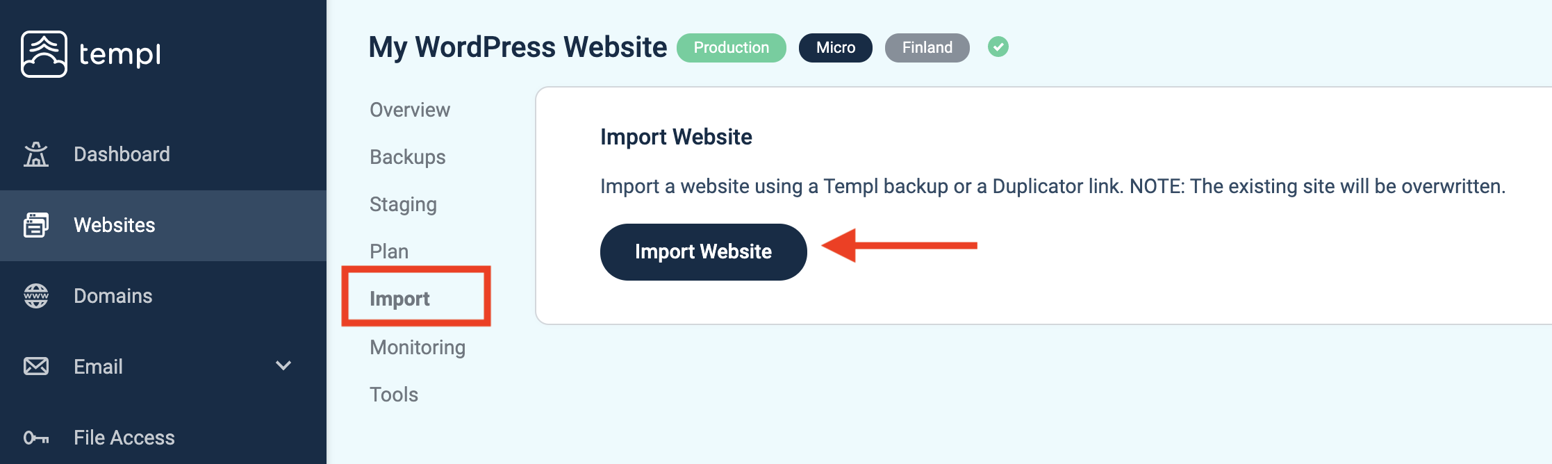 Templ Panel import website screen