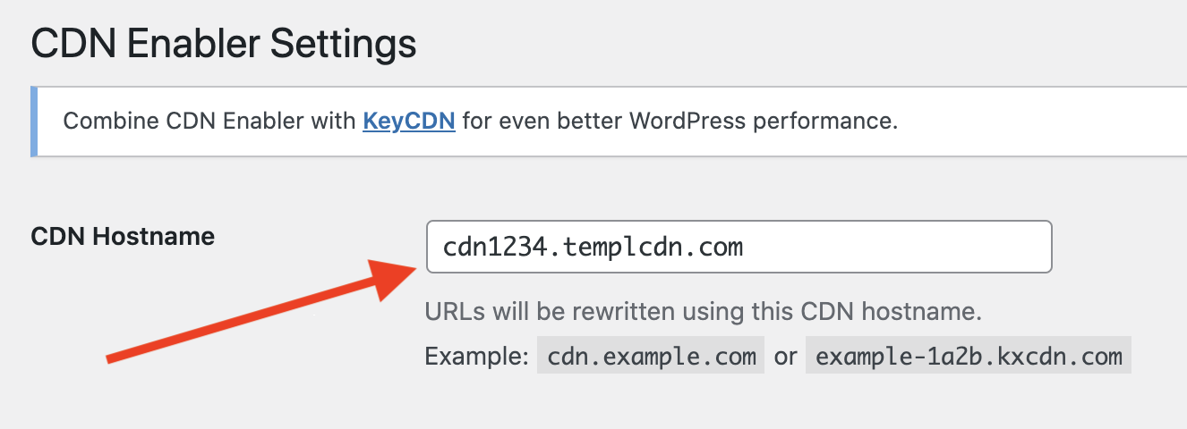 Entering the CDN address in the CDN Enabler plugin settings