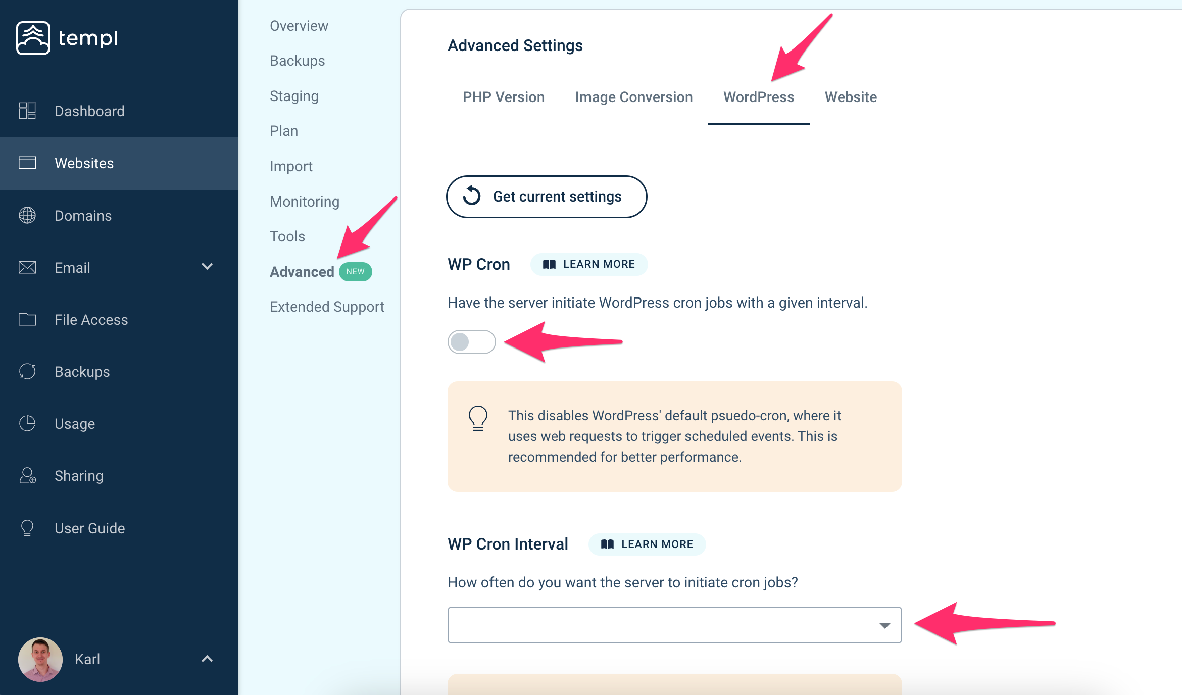 Activating server cron in the Templ Panel Advanced tab