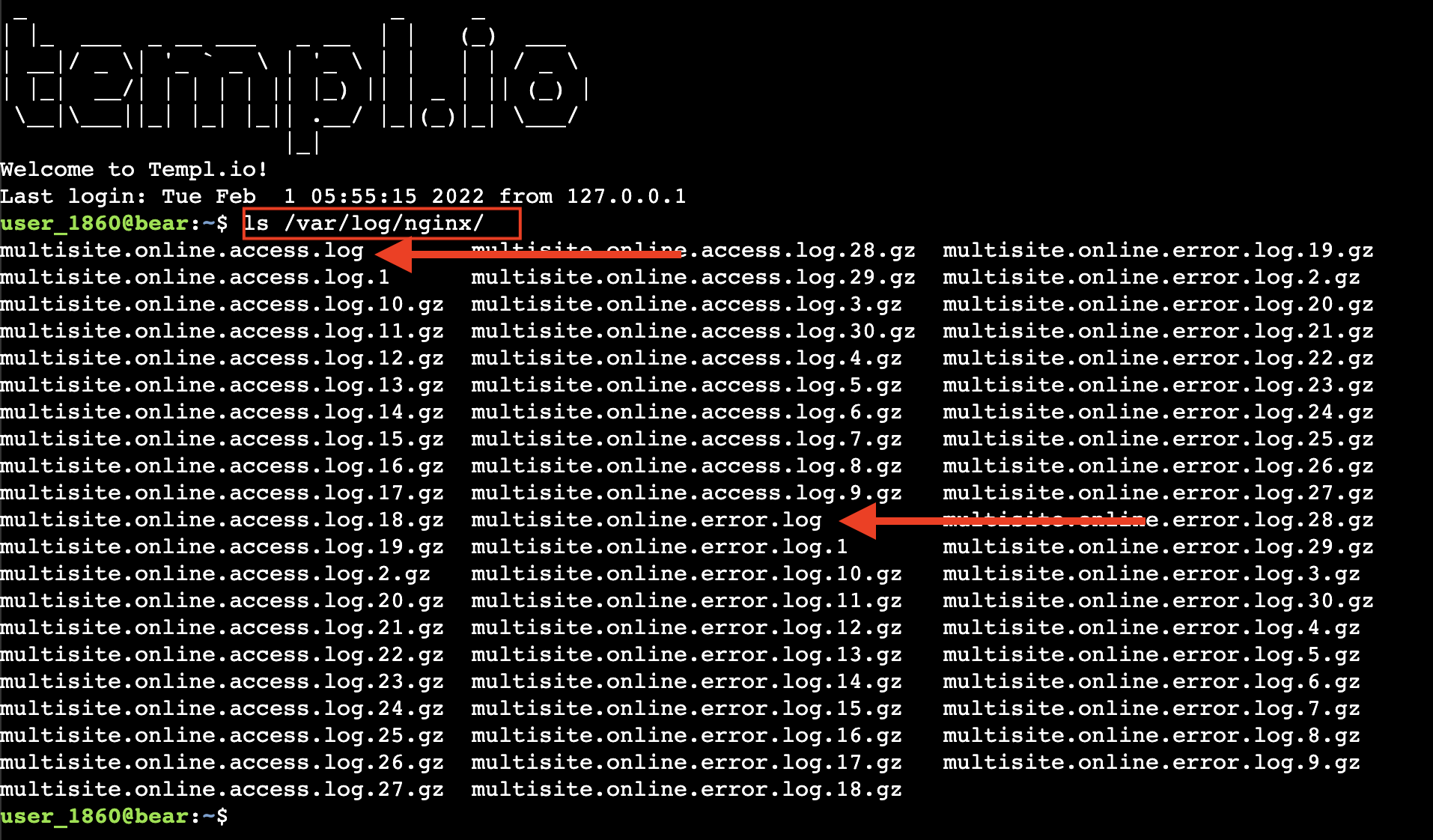Log files listed in the /var/log/nginx directory