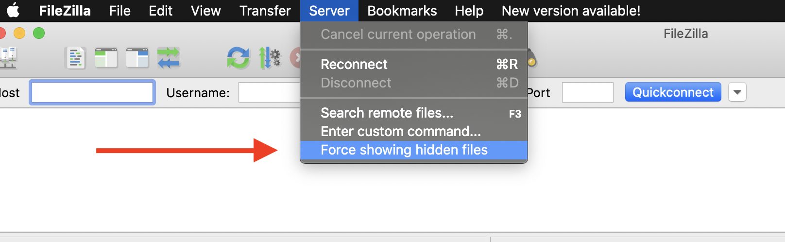 Enabling "Force showing hidden files" in FileZilla