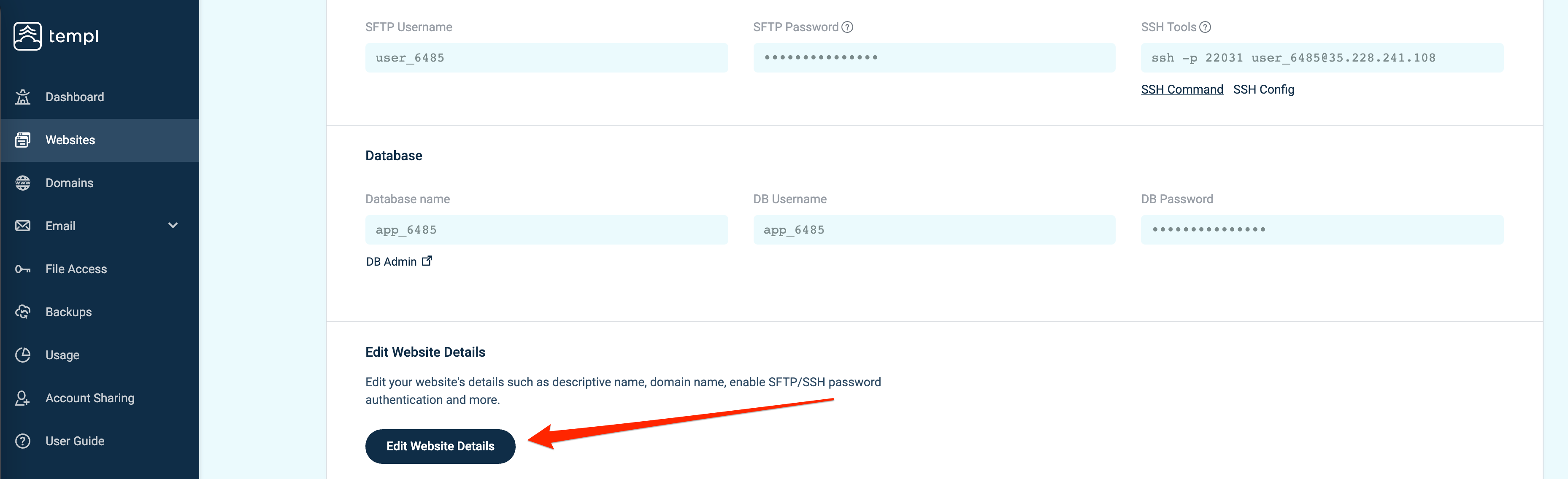 Templ Panel website with the Edit Website Details button