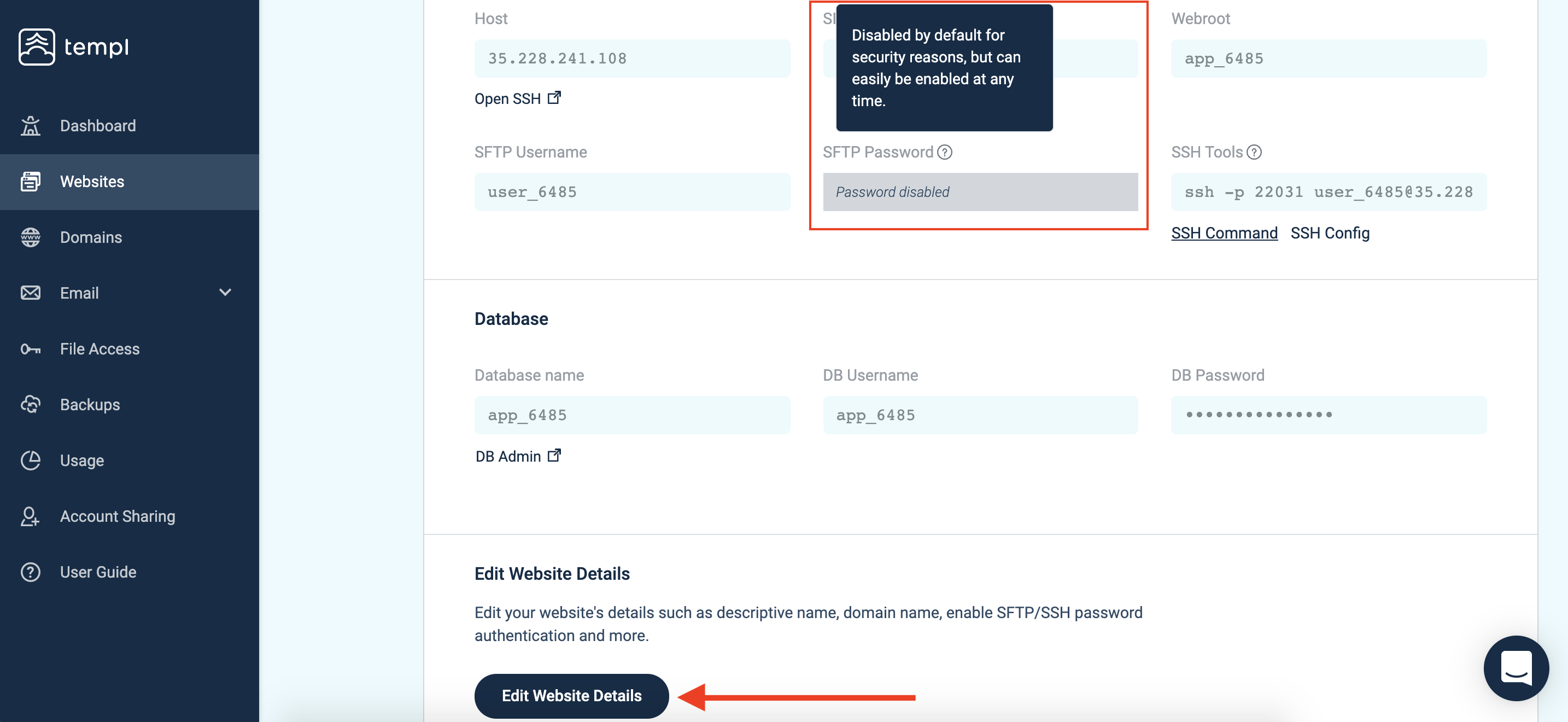 Edit Website Details button on the website details page in the Templ Panel