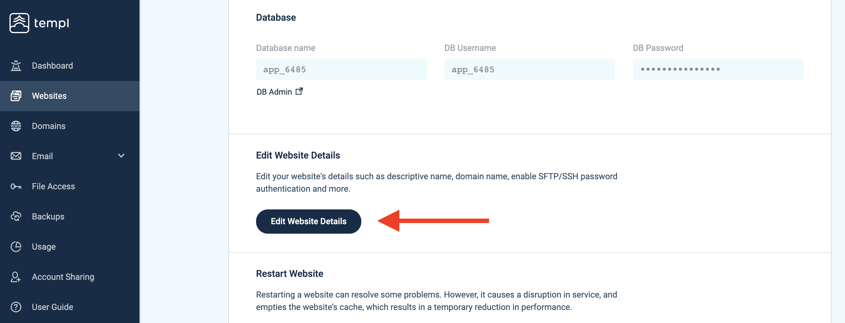 Templ Panel website with the Edit Website Details button