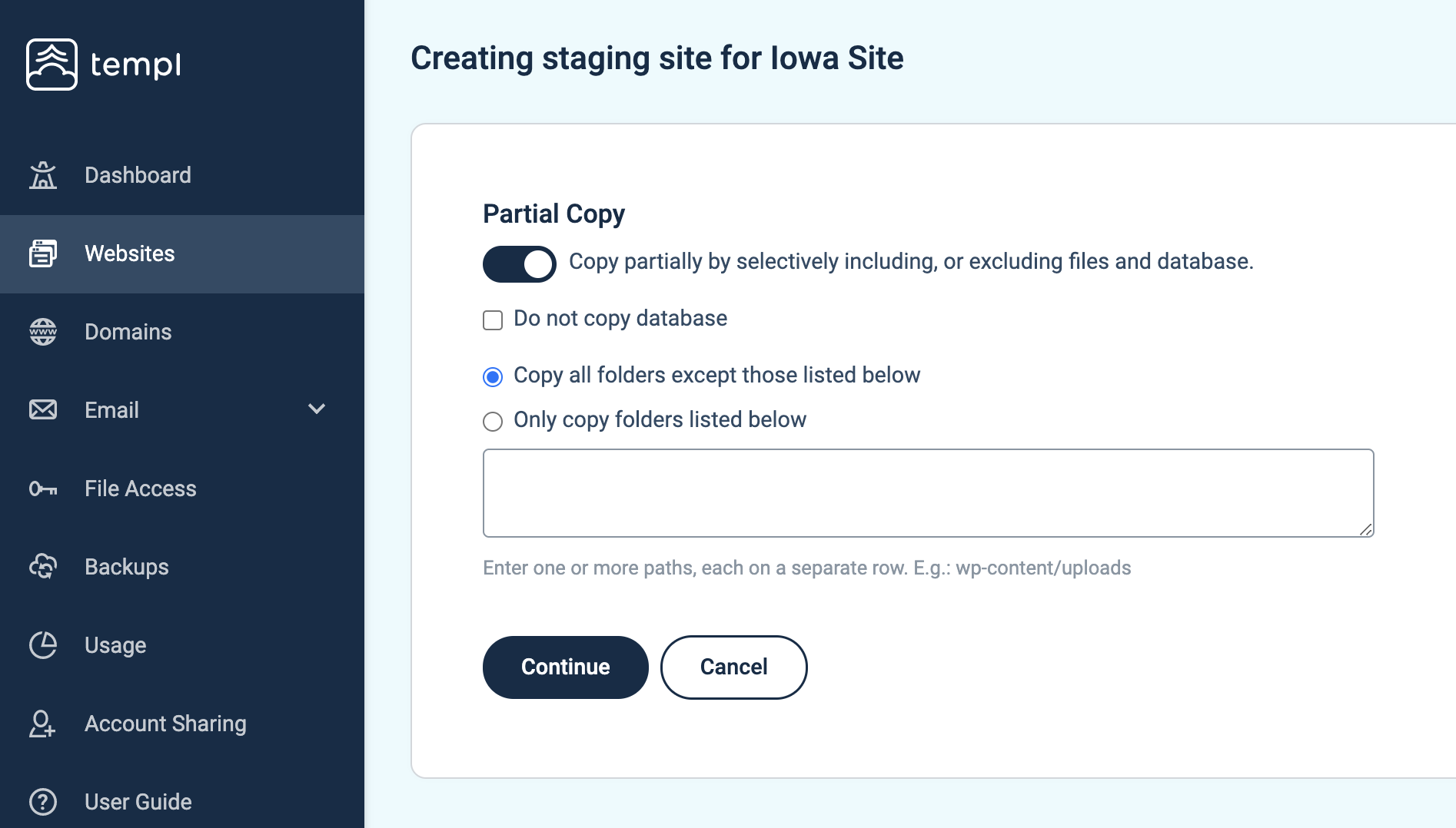 Staging site creation options for including or excluding files and database